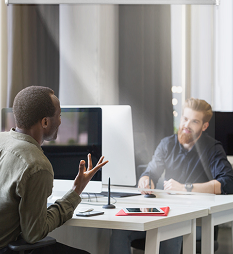 Cortina Enrollable Transparente Pro TGT 2020